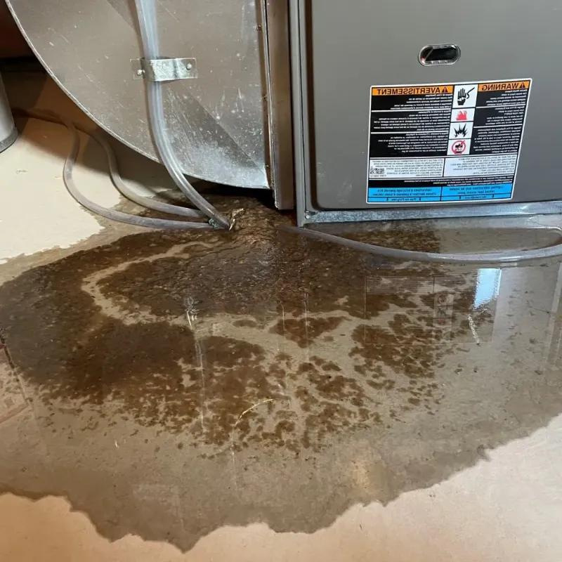 Pipe Burst and Leak Restoration in Little Falls, NY